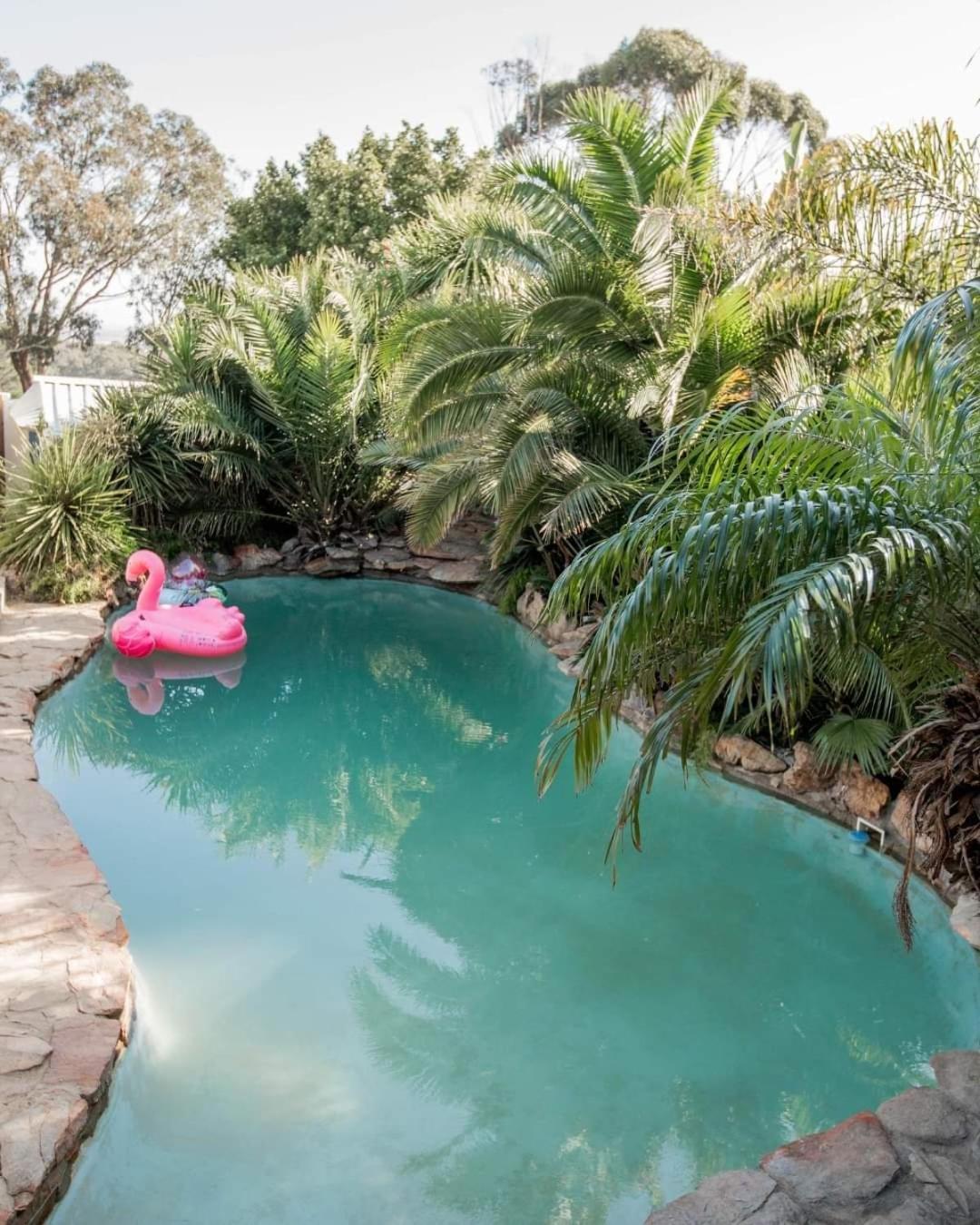 Thyme Wellness Spa And Guesthouse Κέιπ Τάουν Εξωτερικό φωτογραφία
